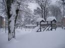 vezzano giardini neve